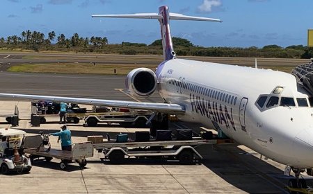 Probe underway as 7 flight attendants sickened by baffling odor on major airline