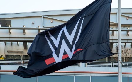 WWE strikes intriguing content partnership as pro wrestling's popularity continues to soar