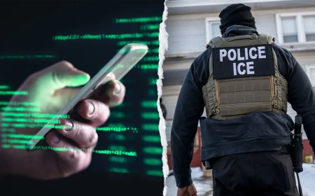 DHS tears into MS NOW after host touts ‘anti-authoritarian’ ICE monitoring group