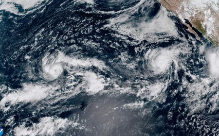 Hurricane Polo: Mexico’s Baja California braces for life-threatening floods