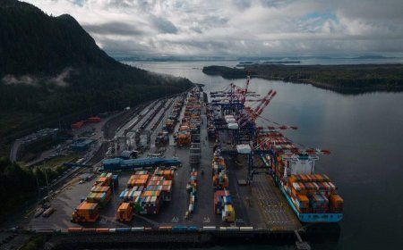 Canada’s economy stalled in July with 0% growth, StatCan says
