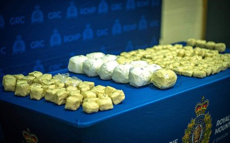 16 charged in cocaine trafficking investigation in Quebec