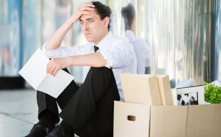 Entry-Level Tech Jobs Plunge 49% as AI Begins Wiping Out First Rung of Career Ladder