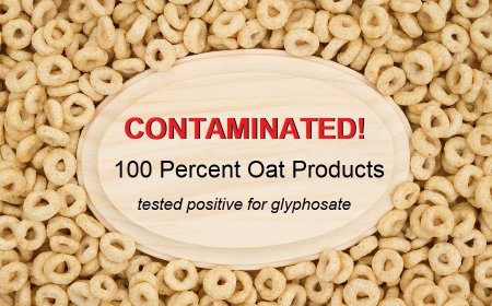 Big Food has Taken Over the USDA National Organic Program – Why I am no Longer Importing Certified Organic Food
