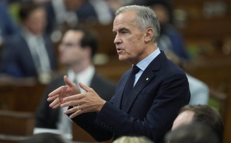 Immigration increase could be on the horizon, Carney suggests in interview