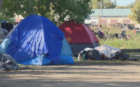 Judge dismisses injunction over Saskatoon homeless encampment