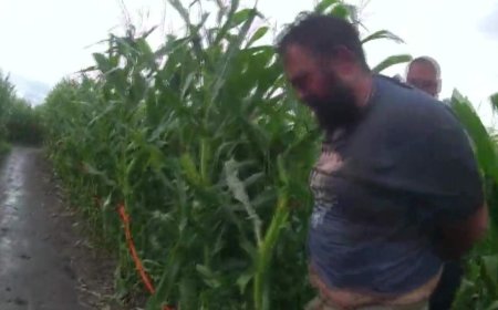 ‘Doing God’s will’: Accused in Edmonton Corn Maze stabbing claims victim was a Nazi