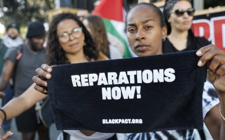 Reparations activists call out blue states for using slavery history to fund broader agenda