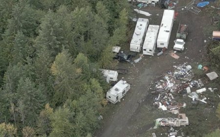Nanaimo encampment in place for 20 years should be cleaned up, neighbours say
