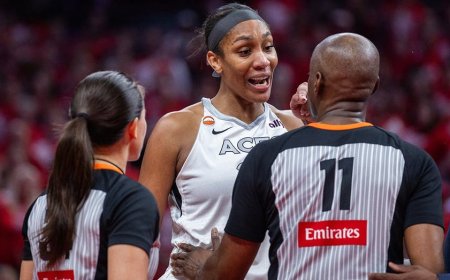 WNBA refs miss opportunity to eject A'ja Wilson over meltdown, entering stands