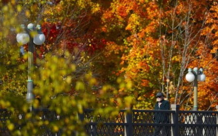 The ‘Super El Nino’ is upon us. What does that mean for Ontario’s fall colours?