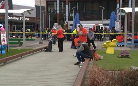 2 pedestrians killed at Tsawwassen Mills Mall in B.C. after driver suffers medical emergency