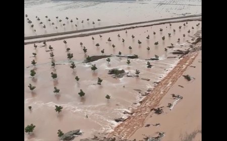 “Seek Higher Ground Now”: A Near Dam Failure In New Mexico Was Just The Warm-Up For A Record El Niño
