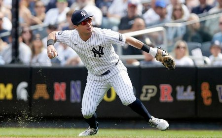 Fanatics Sportsbook Promo Code FOXNEWS350: Bet $20, Get $350 on Red Sox vs Yankees Game 2