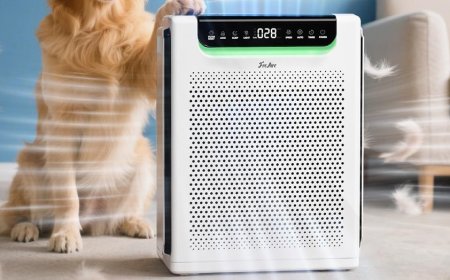 This slim air purifier just hit its lowest price ever on Amazon — now $90
