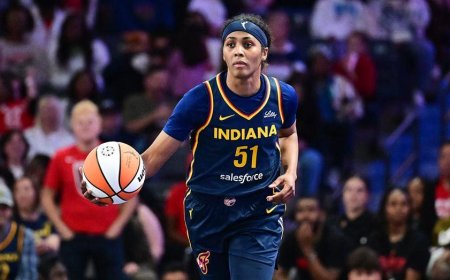 WNBA commentator Sydney Colson physically restrained after going after Fever fan following A'ja Wilson mess