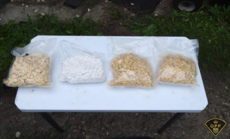 Car, guns, fentanyl seized in Ontario drug trafficking investigation