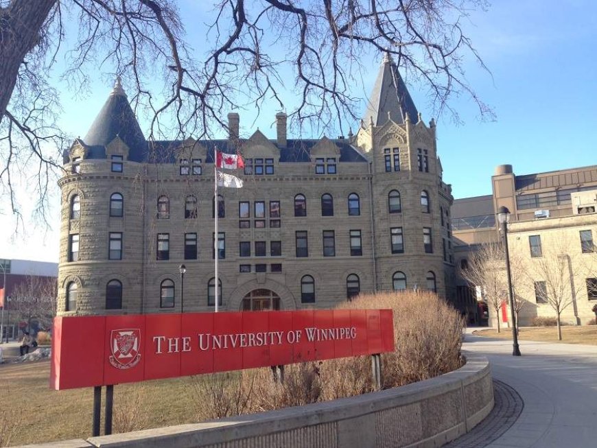 U of W Collegiate rolls out mandatory AI literacy module for students