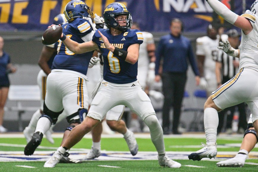 Winnipeg Blue Bombers acquire new QB in another trade with Ottawa RedBlacks