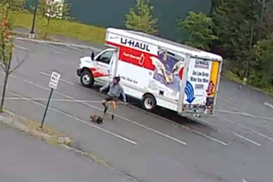 Mysterious animal attacks 3 people in New Hampshire