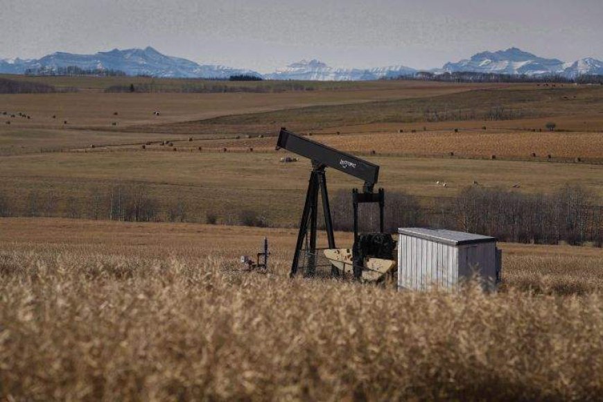 Alberta landowners challenge ‘chronic underfunding’ for orphan well cleanup