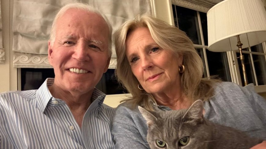 Joe Biden shares health update after prostate cancer diagnosis while issuing warning to others