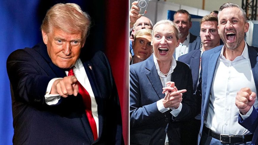 Trump hails 'really big night' for populists in German election after historic victory