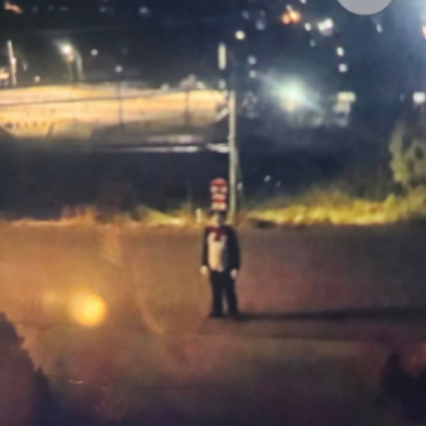 Person wearing Cat in the Hat costume chased teen: West Kelowna RCMP