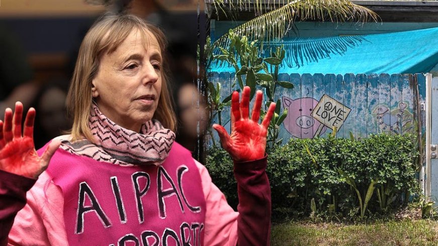 $54M CodePink-linked foundation shut down in California pops up at ramshackle Miami home