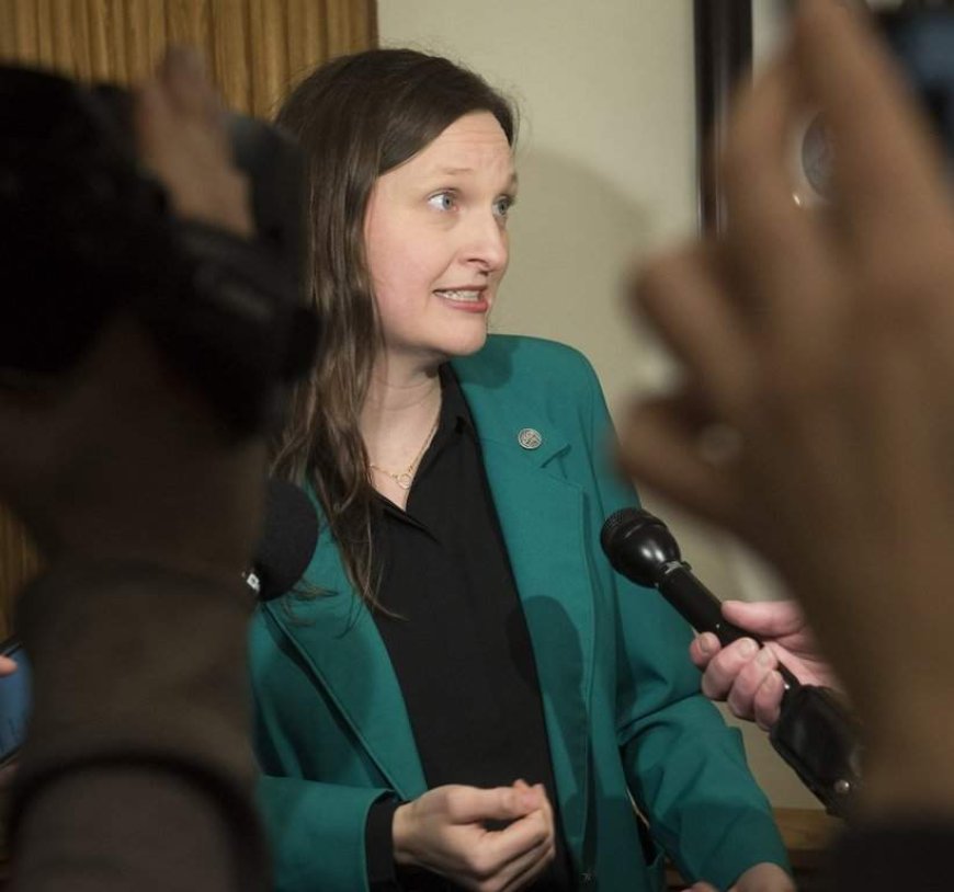 New Brunswick lawmaker Megan Mitton announces bid to lead provincial Green Party