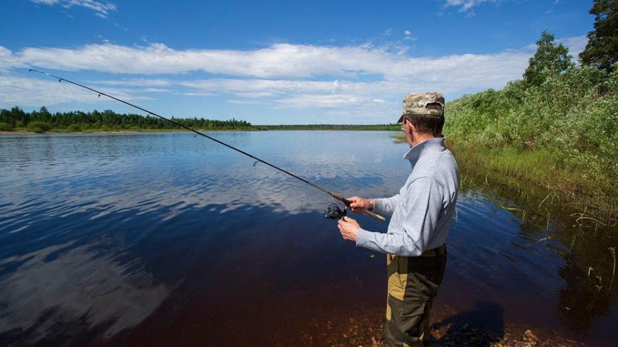 Bear tries to steal one too many fish off of fisherman's line, gets charged at with pole in hand
