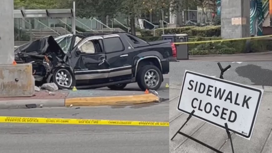 MLA calls for review after Surrey police involved in multiple collisions