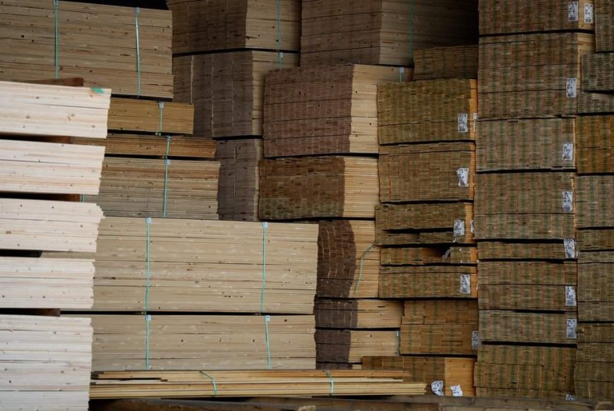 B.C. forestry industry says it’s at ‘breaking point’ in letter to Eby