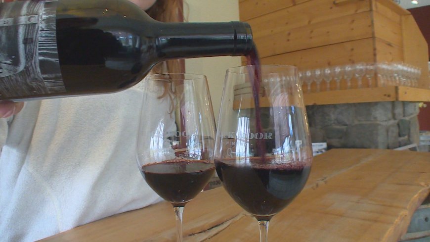 Okanagan wine producers brace for U.S. ban on Canadian alcohol imports
