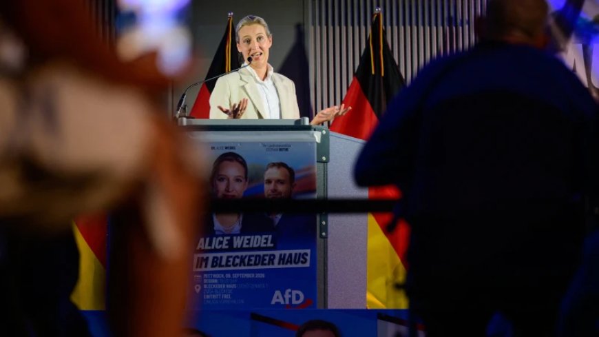 European Lawmakers Demand International Scrutiny as German Chancellor Moves to Override Stunning AfD Election Victory