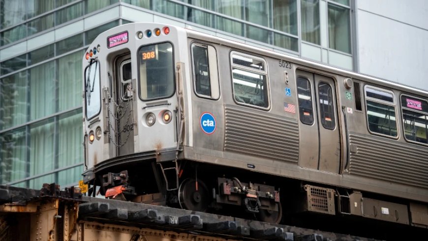 Teen Girl Charged With Shoving Man to His Death From Chicago Train – Police