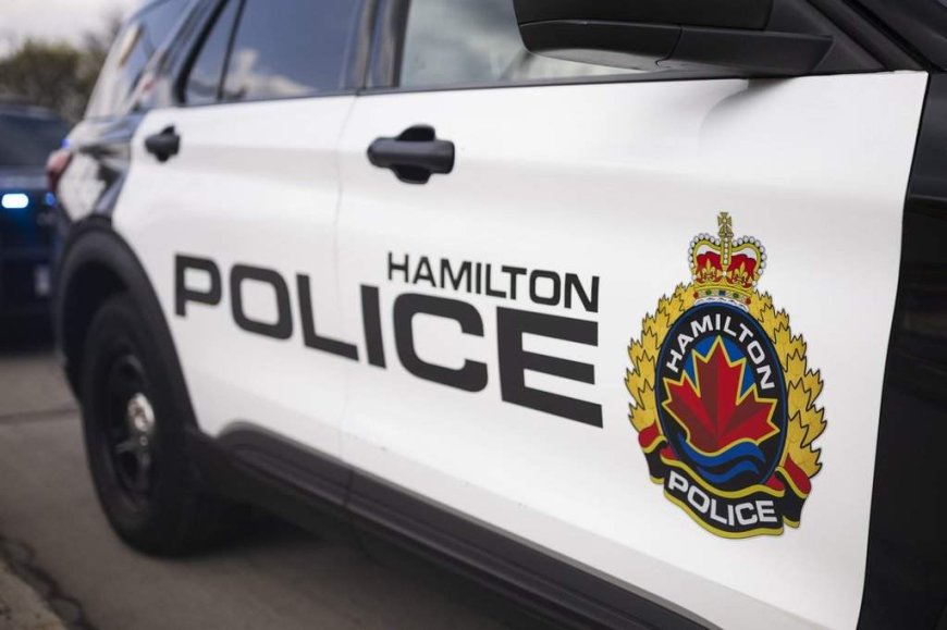 1 arrested, 1 wanted after Hamilton city vehicles stolen