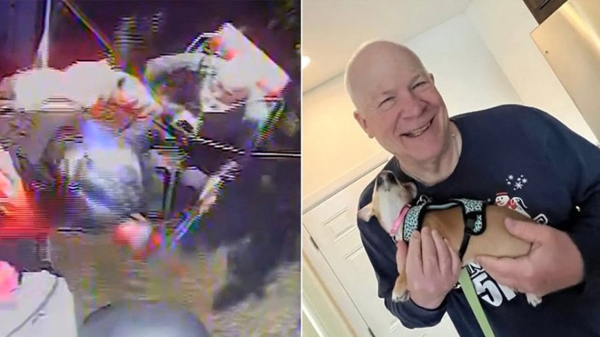 Missing 70-year-old hiker rescued after disappearing for a week in remote national park