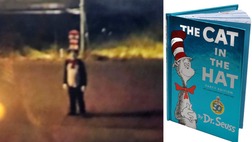 Creepy 'Cat in the Hat' trend targets schools as costumed figure allegedly chases teen girl