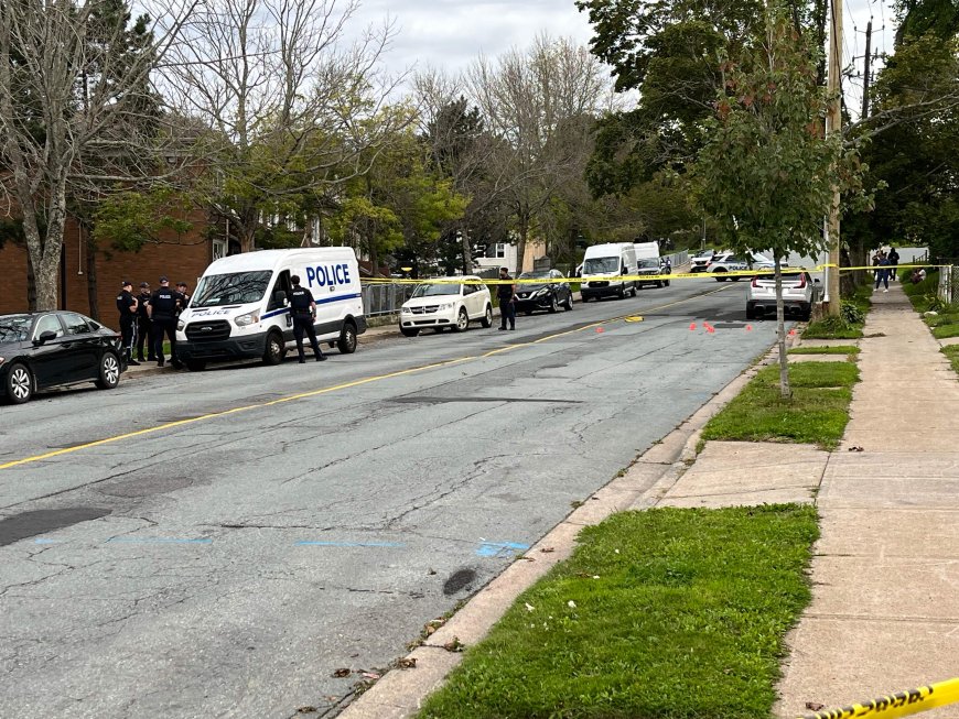 Halifax police investigating daylight shooting, no injuries reported