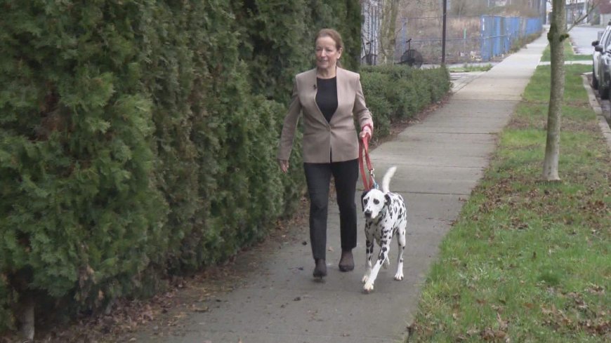 Lawsuit filed against Surrey councillor over dog-bite incident
