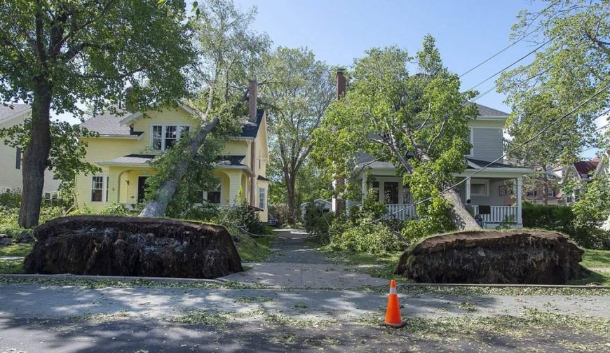 Record slow hurricane season, but Maritimers warned to stay vigilant about extreme weather