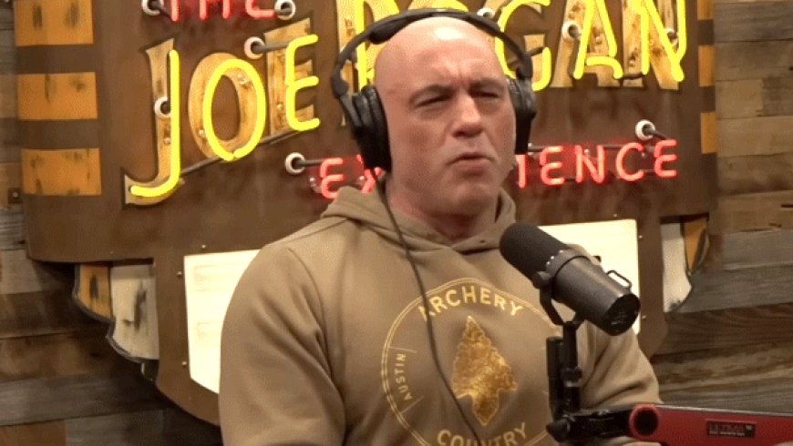 Joe Rogan hopes artificial intelligence will take over government, military decisions