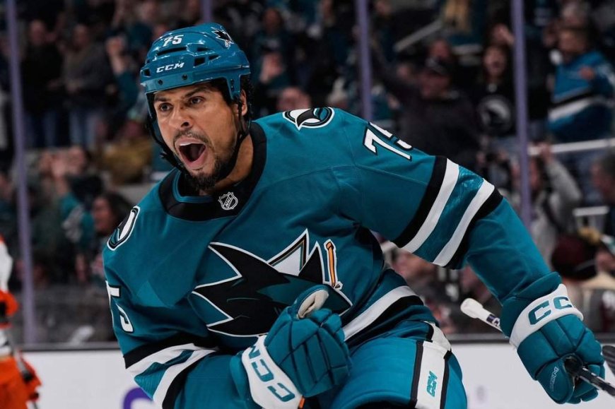 Winnipeg native Ryan Reaves retires after 16 NHL seasons