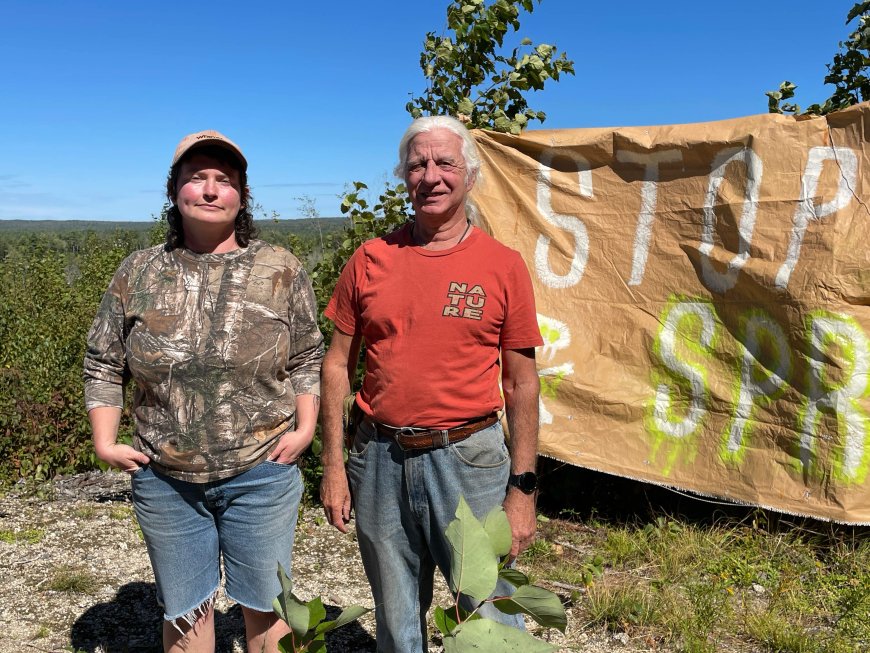 Bear River, N.S. residents raise concerns over planned aerial glyphosate spraying