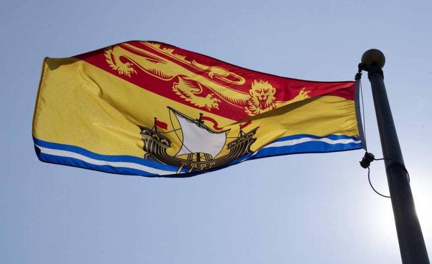 New Brunswick mill laying off hundreds of workers, union says