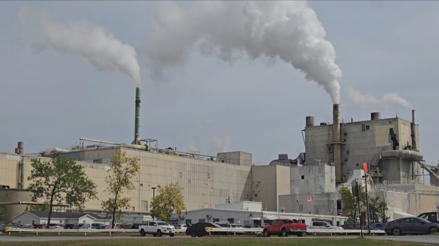 Uncertainty hangs over Nackawic after pulp mill announces temporary shutdown