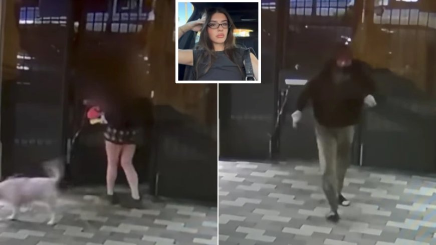 Police Refuse to Arrest Vagrant Accused of Chasing California College Student Into Her Apartment Complex