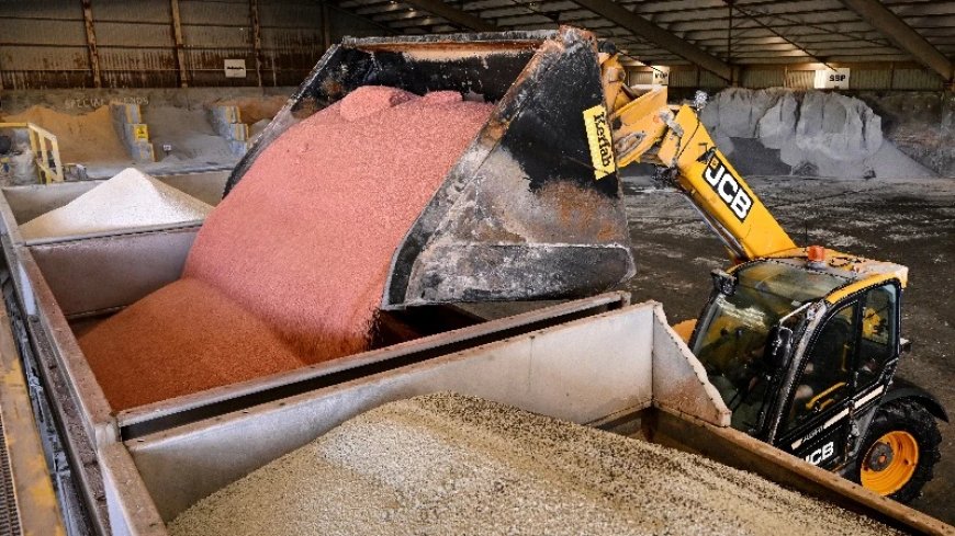 Trump Announces Deal To Buy Potash From Russian Ally Belarus After Renewed Interest In Ending Ukraine Conflict