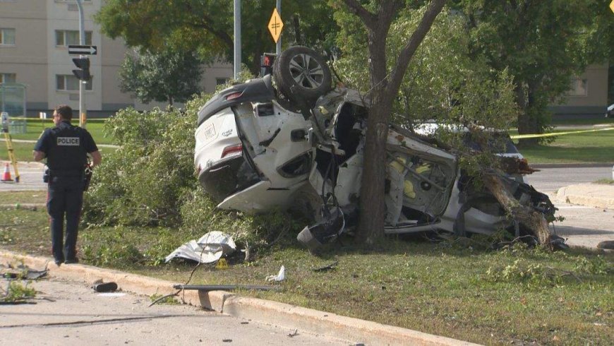 Man arrested after ‘catastrophic’ fatal collision in Winnipeg: police